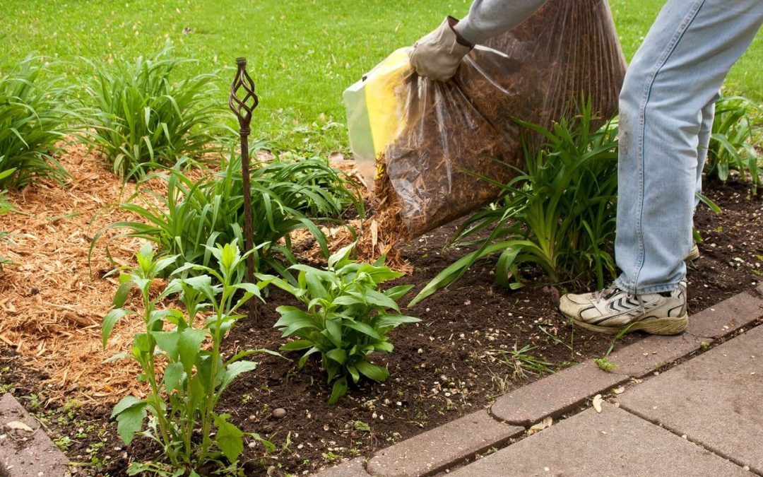 improve your landscaping by adding mulch to the garden beds