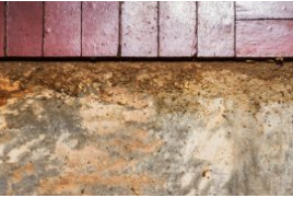 Elmwood Park NJ - Home Inspection Services