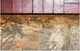 Englewood Cliffs NJ - Termite Inspections