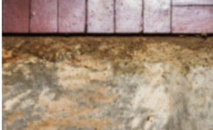 Glen Rock NJ Termite Inspections