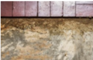 Hasbrouck Heights NJ - Termite Inspections