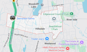 hillsdale bergen county nj termite and wood destroying insect inspections Hillsdale NJ - Termite Inspection - Inspector